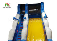 Puncture - Proof Ocean World Dolphin Inflatable Water Slide / Outdoor Inflatable Playground