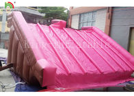 Garden 0.55 Mm PVC PVC Tarpaulin Inflatable Water Slide For Kids Pink Color Customized