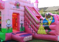 Waterproof 5x4m Inflatable Jumping Castle Customised Birthday Parties Princess Palace
